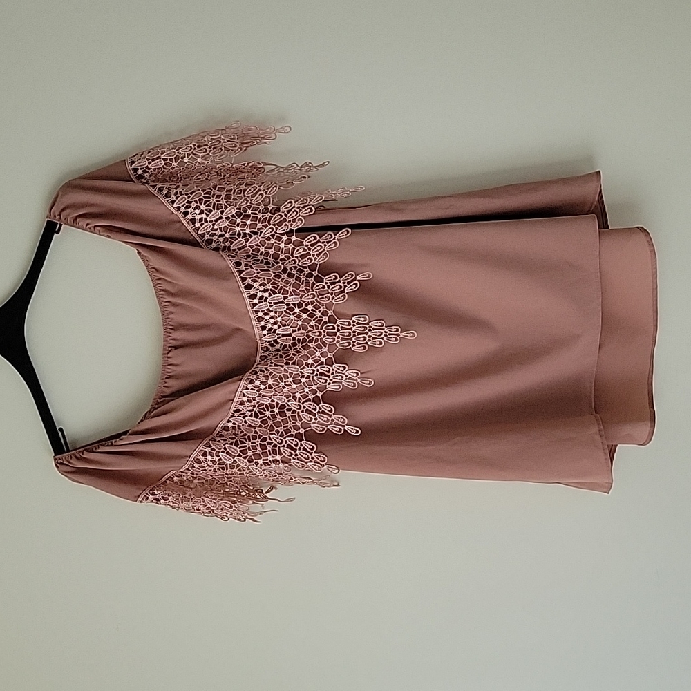 Tobi Women's Dusty Rose Off the Shoulder Lace Mini Dress- Size L